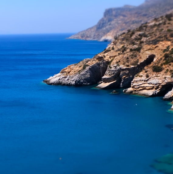 粉象生活上线收费