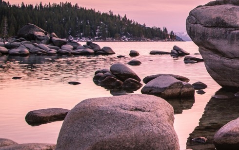 粉象生活引流脚本