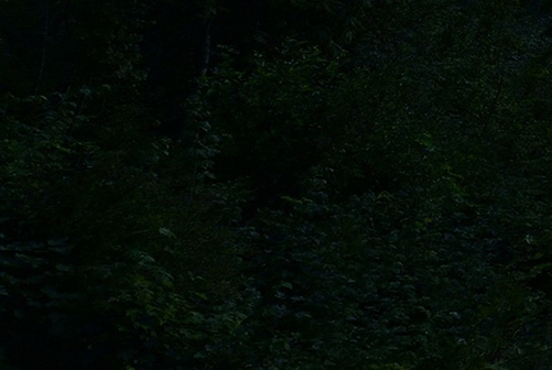 肖仕虹是否照相馆