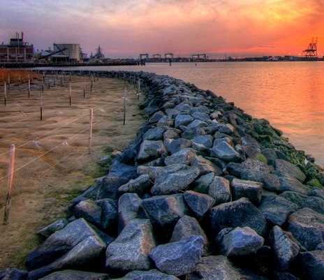 如何加入粉象生活推广