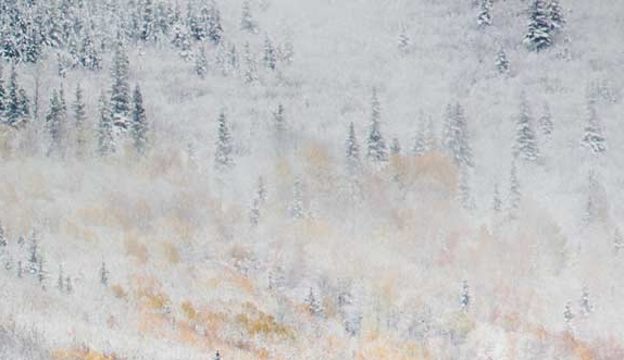 粉象生活签到赚钱