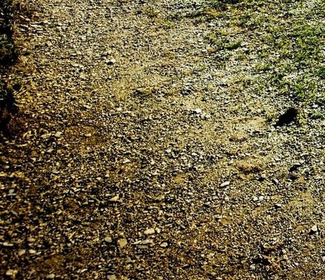 国家对粉象生活用户的政策