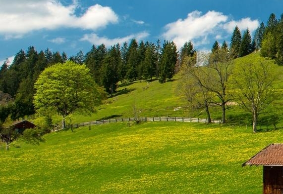 粉象生活粉丝怎么增加