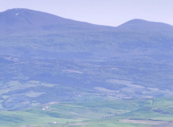 粉象生活保险有效吗