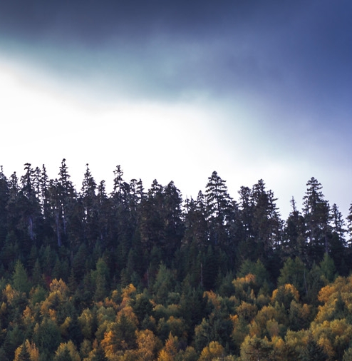 粉象生活缴费专属粉丝