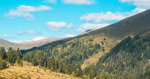 粉象生活新用户能赚钱吗