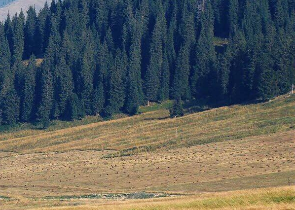 粉象生活营销短信