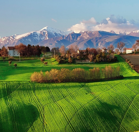 粉象生活怎么私信