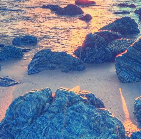 粉象生活能赚到钱吗