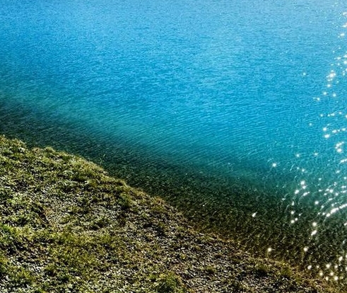 粉象生活app怎么推广粉象生活