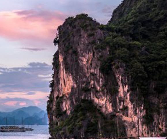 粉象生活怎么赚钱