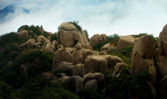 粉象生活邀请码可以改吗