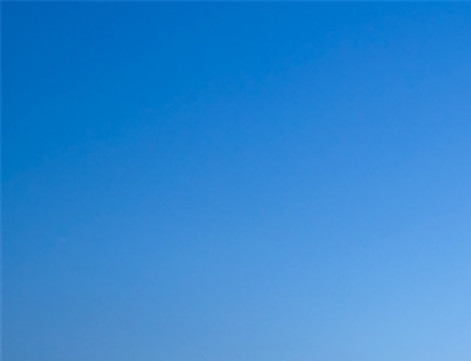 深粉象啤酒16度