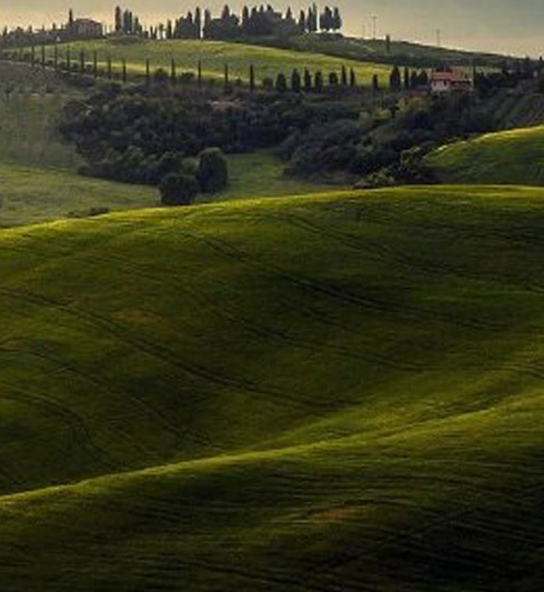 佛山粉象生活赚钱