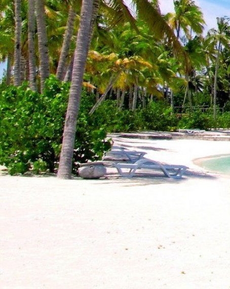 科技木和实木的区别