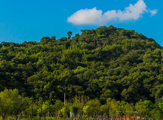 推广粉象生活赚钱吗