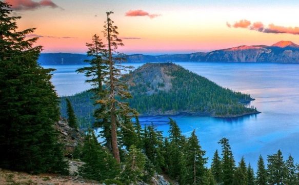 粉象生活是什么?