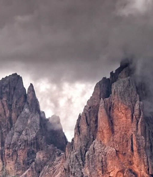 粉象生活下载app