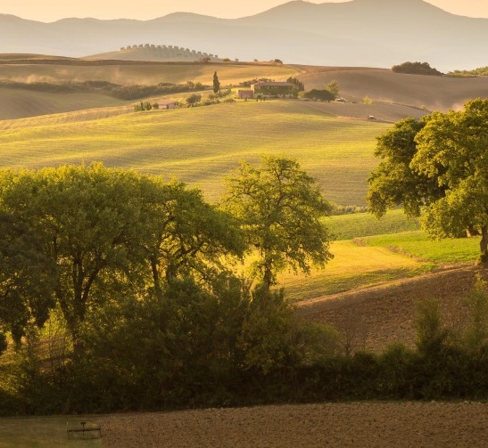 粉象生活抽奖视频