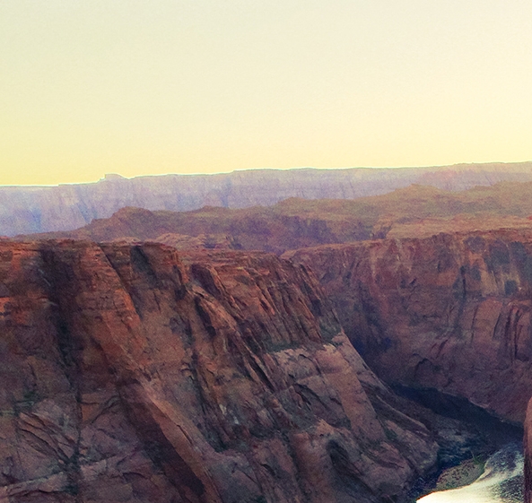 粉象生活如何获得优惠券