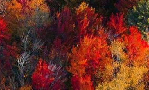 粉象生活有什么好的平台