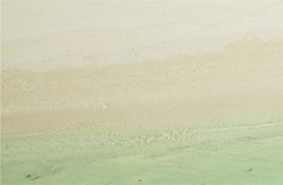 粉象生活怎么赚钱