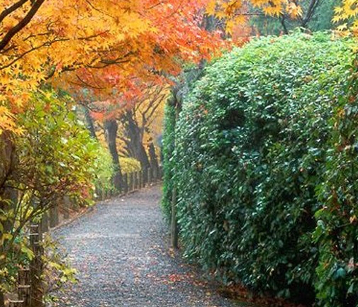 粉象生活怎么做才有佣金