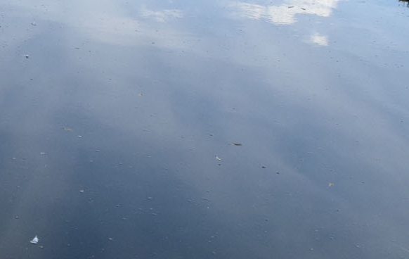 湖北高端粉象生活怎么赚钱