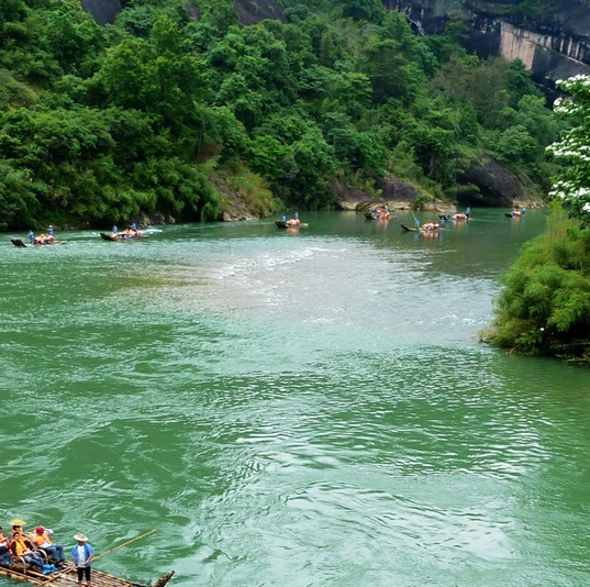 比利时浅粉象啤酒怎么样