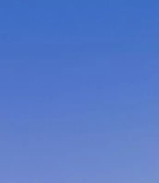 粉象生活下载app