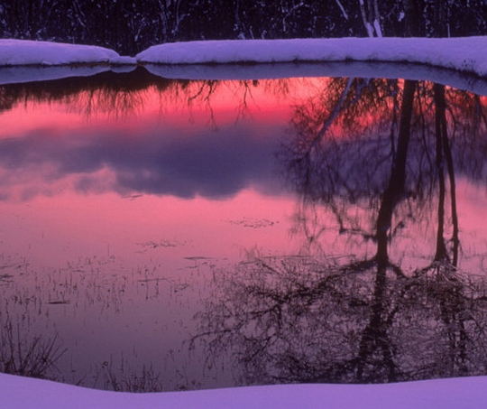 粉象生活的积分怎么激活