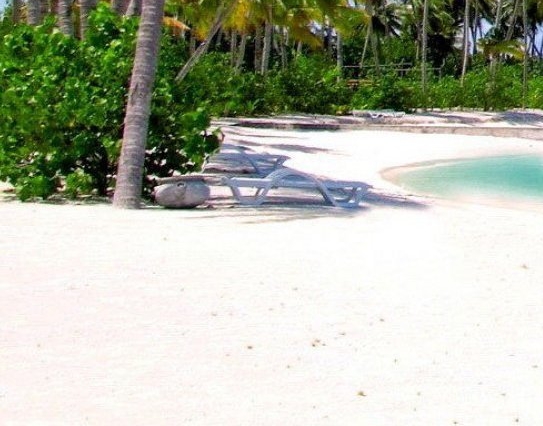 粉象生活已注销