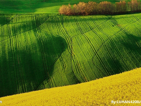 泉州粉象生活收入