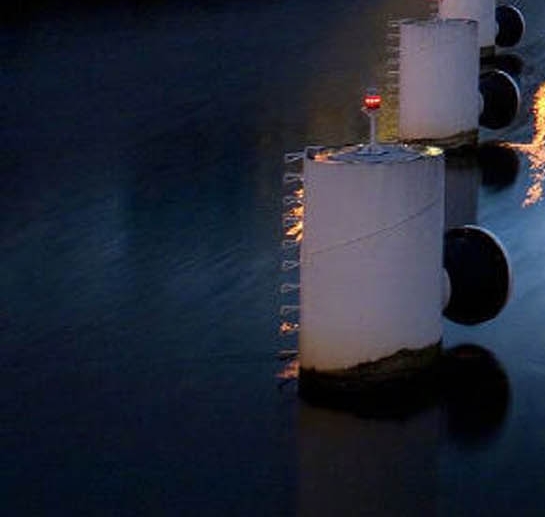 粉象生活模式合法吗