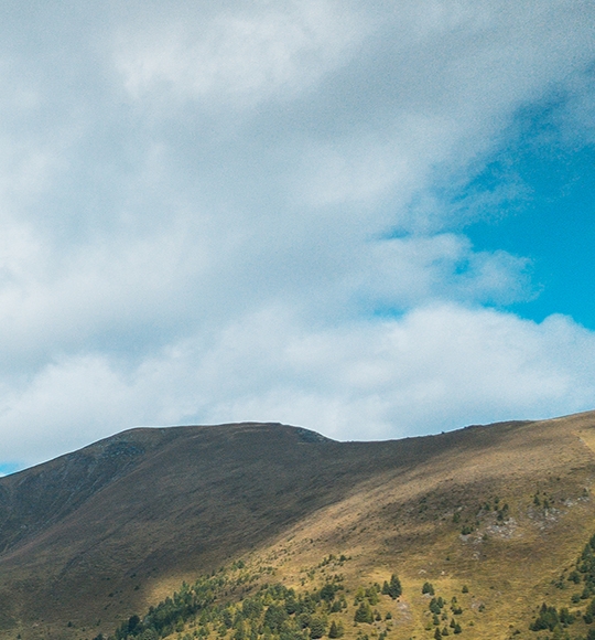 粉象生活能赚到钱吗