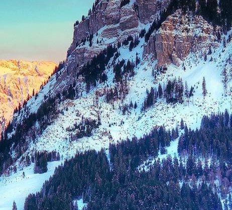 惠州粉象生活佣金