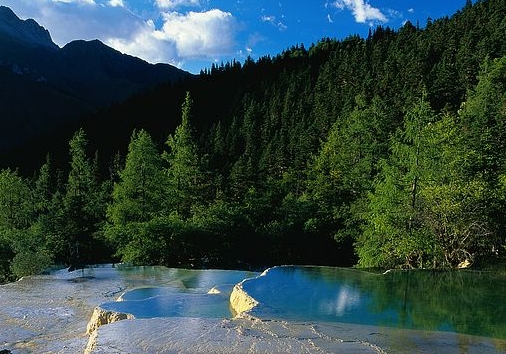 吉林口碑粉象生活软件