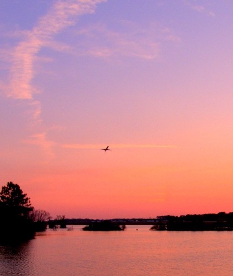 粉象生活新手操作