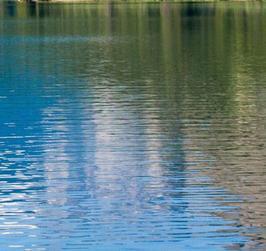 上海创新粉象生活网站