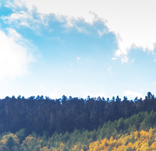 粉象生活的介绍