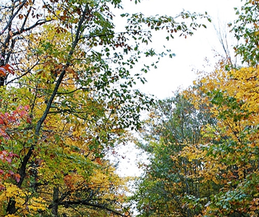 粉象生活下载官方正版