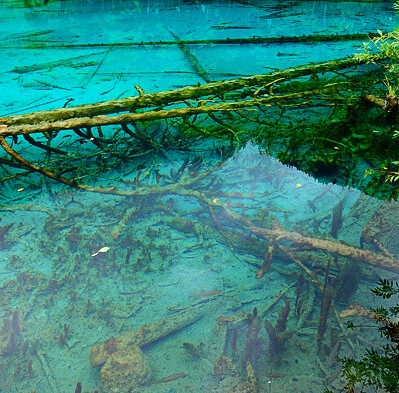 山东粉象生活吧