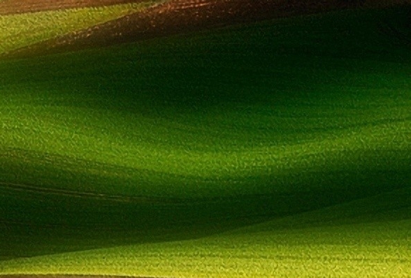 粉象生活怎么用淘宝