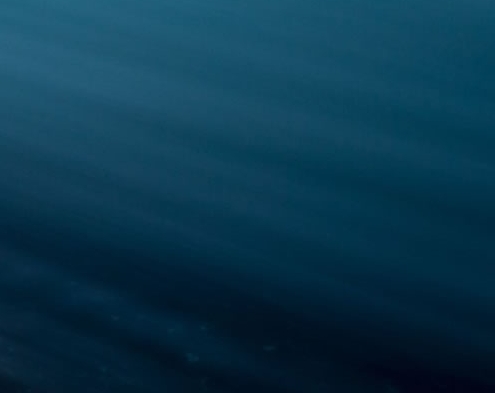 粉象生活宝妈如何挣钱