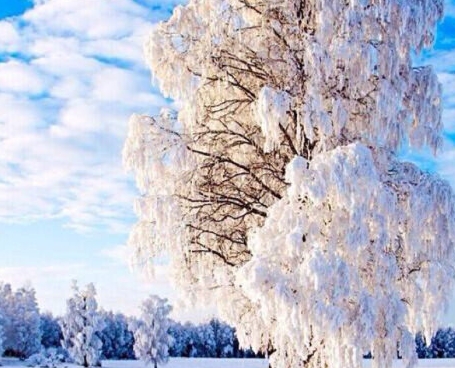 关于粉象生活推广