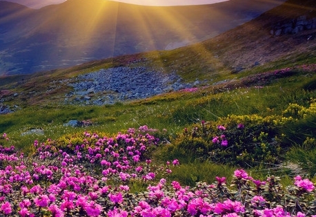 粉象生活怎么联系邀请人