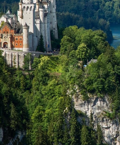 粉象生活能赚到钱吗