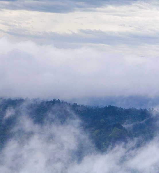 京粉返利什么时候到账