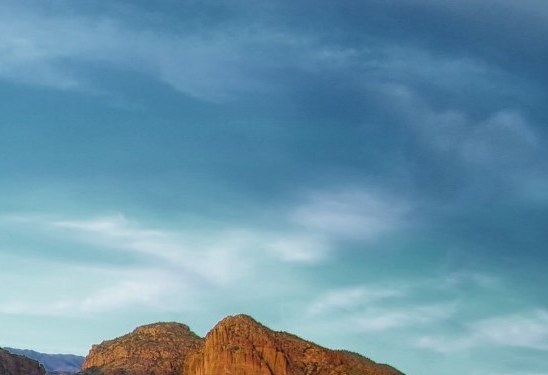 粉象生活下载app