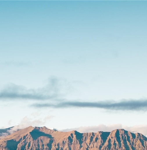 粉象生活怎么分享